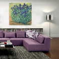 thumbnail image 5 of Epic Art 'Irises in Bloom I' by Tim O'Toole, Acrylic Glass Wall Art, 36"x36", 5 of 6