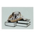 thumbnail image 1 of English Bulldog Cutting Board, Pure Breed Bulldog with Glasses and Books Hardworking Animal, Decorative Tempered Glass Cutting and Serving Board, Small Size, Black Pale Brown White, by Ambesonne, 1 of 1