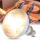 thumbnail image 4 of Lámpara De Bombilla De Calor Para Reptiles, 100W, Espectro Completo, Emisor De Calor, Para Lagartos Tortuga, 4 of 7