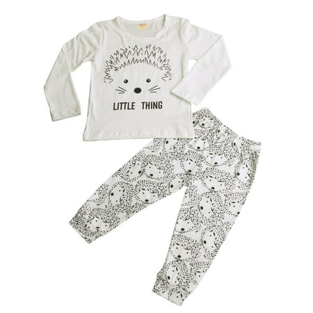 

Fiomva Toddler Kids Baby Long Sleeve Cartoon Hedgehog Print T-shirt Tops with Long Pants Outfits
