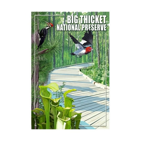 Big Thicket National Preserve Texas Print Wall Art By Lantern