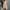 Beige, variant on Abomasnow Women Cotton Short Nightgowns Adjustable Spaghetti Strap Nightshirt Racerback Sleep Dress Soft Slip Sleepwear