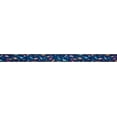 thumbnail image 2 of Country Brook Design - Dinosaurs Ribbon on Coral Nylon Webbing (1 Inch, 5 Yards), 2 of 4