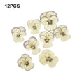 thumbnail image 4 of Injueey 12 Pieces Dried Flower Crafts Simple Flowers Make Exquisite Handicrafts Adornment DIY Makeup Accessories Pressed Craft Type7 NO7, 4 of 6
