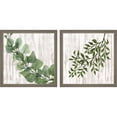 thumbnail image 1 of Great Art Now Eucalyptus & Leaves on White by Cindy Jacobs, 2 Piece Framed Art Set Each 13"W x 13"H, 1 of 3