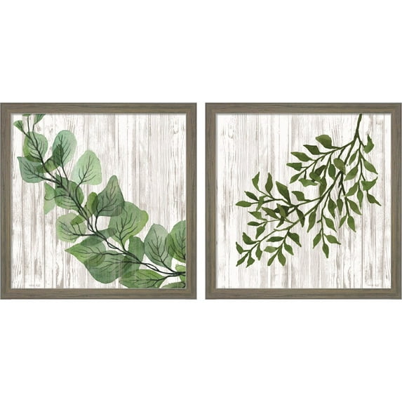 Great Art Now Eucalyptus & Leaves on White by Cindy Jacobs, 2 Piece Framed Art Set Each 13"W x 13"H