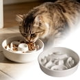 thumbnail image 5 of LLDYYDS Pet Feeding Bowls, Ceramic Slow Feeder Dog Bowl - Heavy Weighted Food Dish for Small to Medium Dogs One Size, 5 of 5