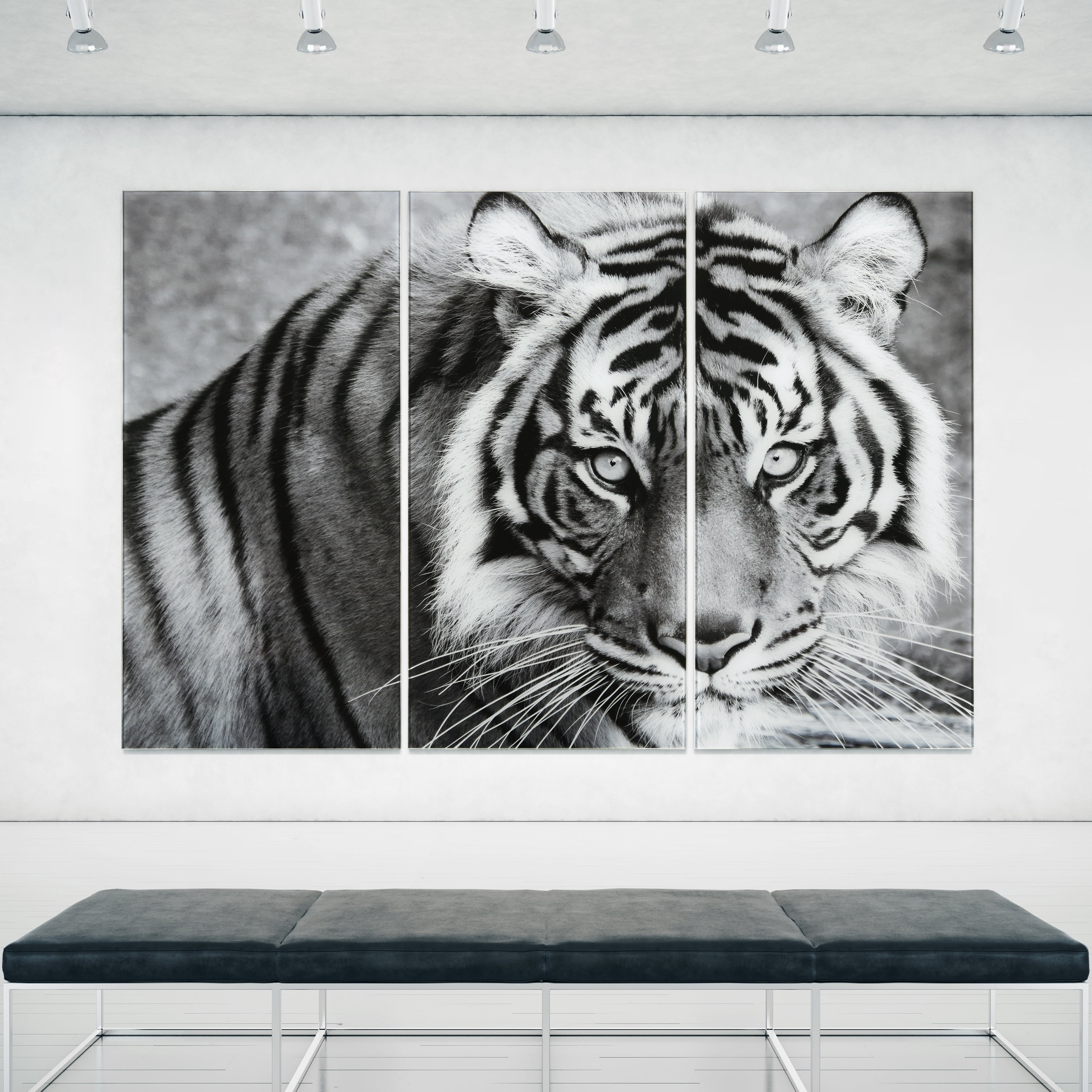Tiger ABC 36 in x 72 in Mixed Media Art, by Empire Art 3 Count
