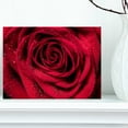 thumbnail image 1 of Designart - Red Rose Petals with Rain Droplets - Floral Art Canvas Print, 1 of 3
