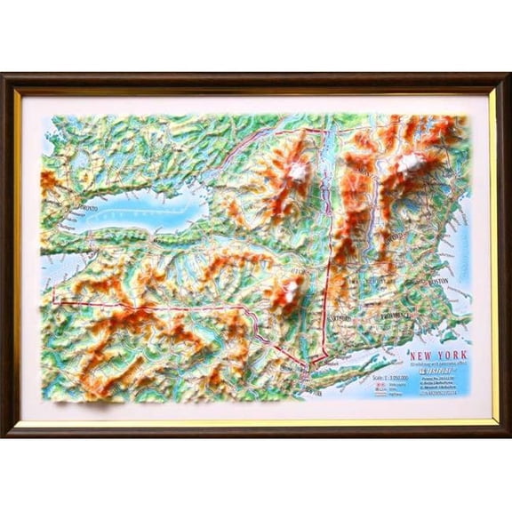 TestPlay 3156 12 x 9 in. New York State Raised Relief Map, Framed - Gift Size
