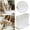 Clear, variant on Zguuel Toothbrush Holder with Removable Drain Tray, Countertop Bathroom Organizer Caddy for Electric and Manual Toothbrushes, Multi-Slot Toothbrush and Toothpaste Holder with Drainage - Green