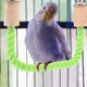 thumbnail image 3 of GOOHOCHY Varillas de percha para pájaros y mascotas, cuerda de algodón, juguetes para loros y pájaros, barras de soporte para loros (verde), 2 uds., 3 of 7
