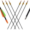 thumbnail image 4 of Runzkzy Metal Arrows 29 Inch 6/12PCS Hunting Arrows for Compound, Recurve, and Traditional Bows, 4 of 12