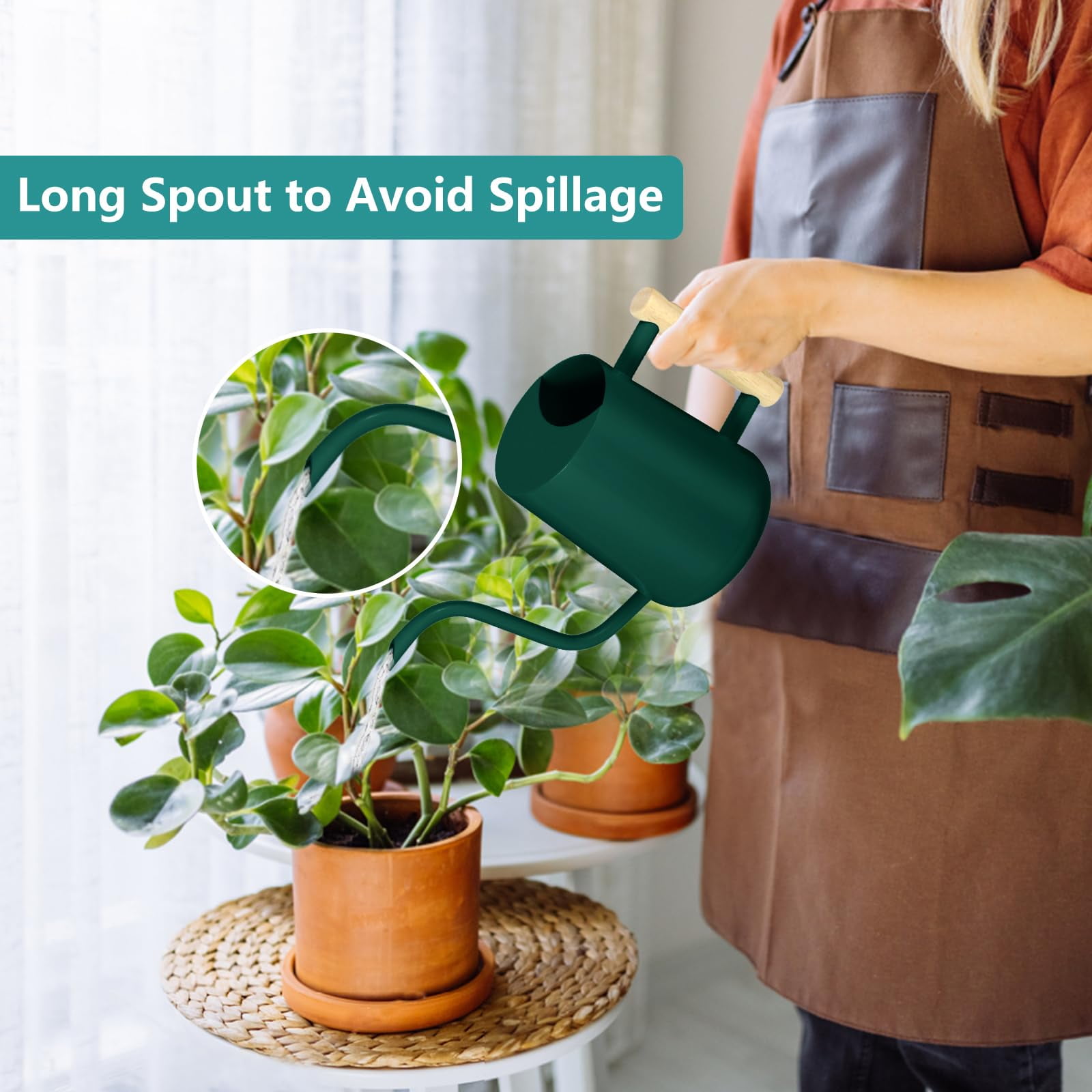 Watering Can Indoor Plants, 35oz Small Stainless Steel Metal Watering Can Modern Decorative Watering Pot