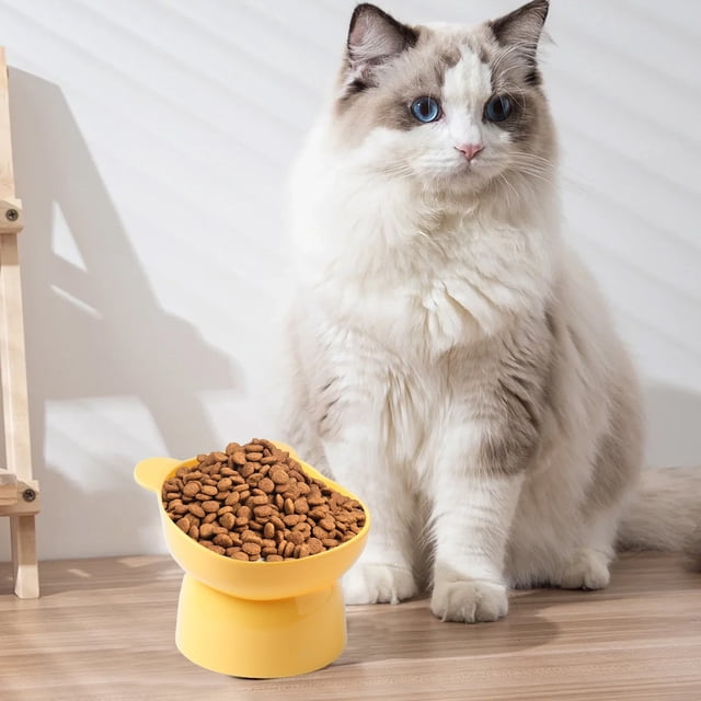 Elevated Cat Food Bowl Large Capacity Raised Pet Feeding Dish for Neck Protection and Whisker , Plastic, Easy to Clean