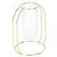 thumbnail image 1 of Floreros Hidropónicos Transparentes para Plantas, Florero de Cristal, Decoración del Hogar para Scindapsus, Menta, Flores, 1 of 7