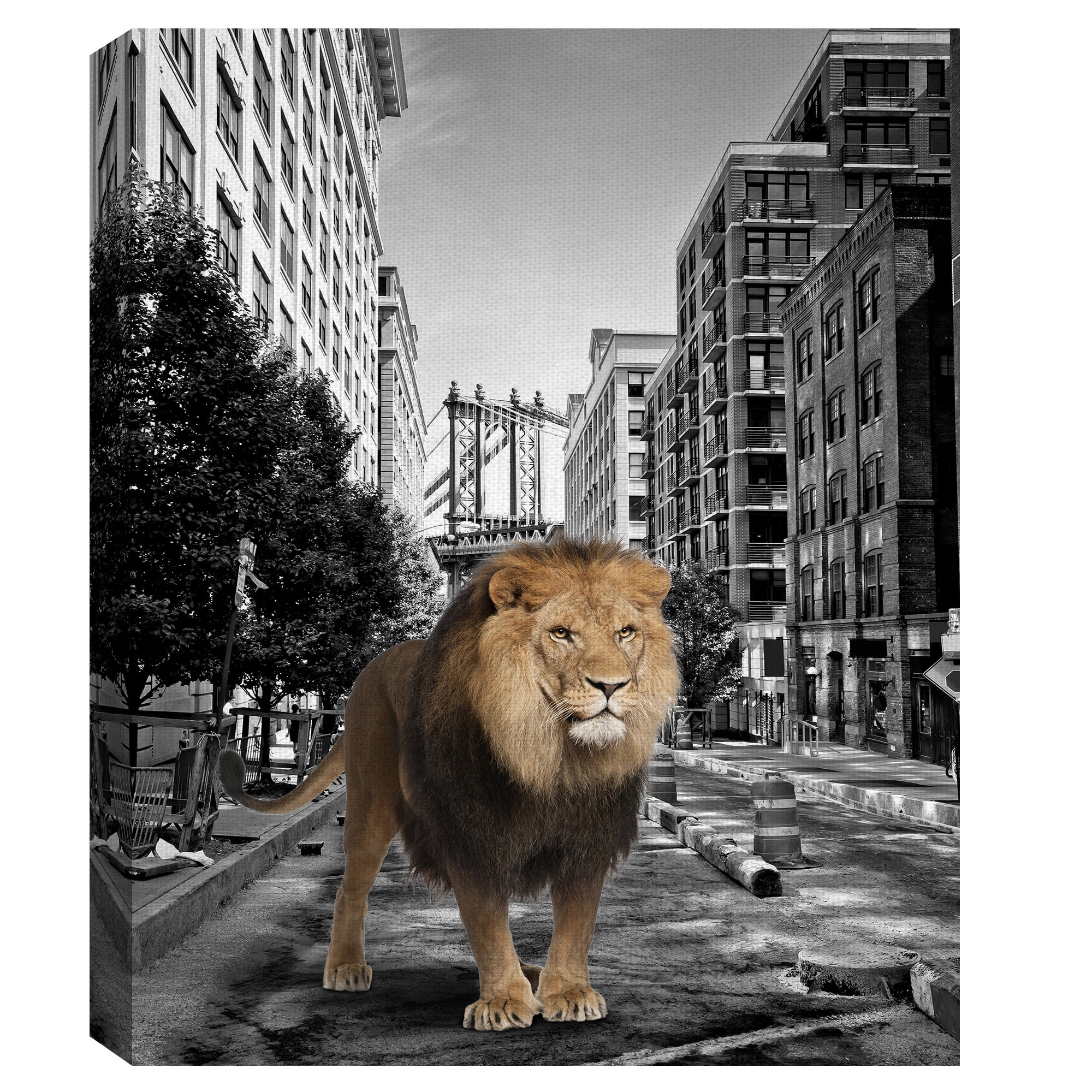 Masterpiece Art Gallery Urban Jungle I Lion By Belle Maison Canvas Art Print 22" x 28"