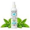 LiceLogic Clear & Free Hair Nit Head Lice Spray - Peppermint