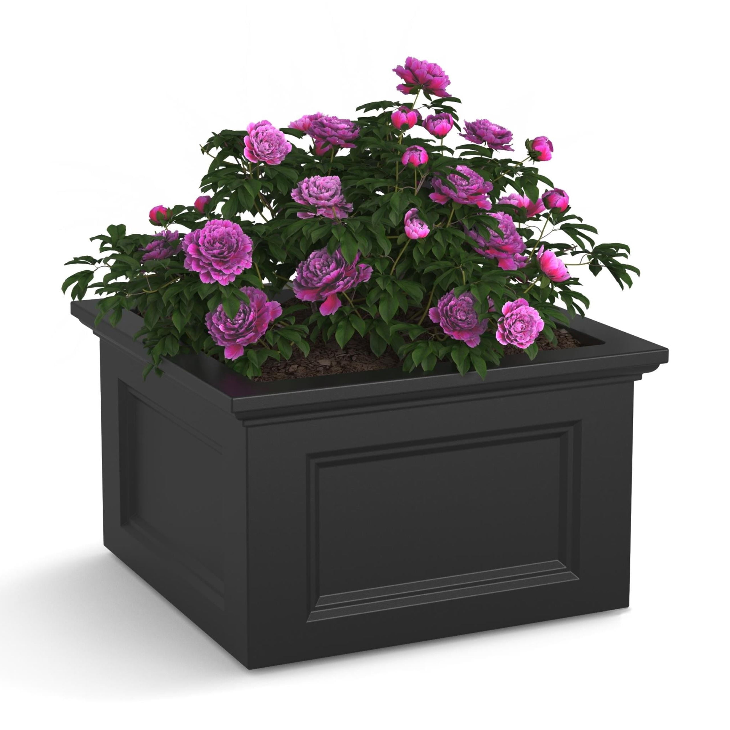 Mayne Fairfield 24" x 24" x 14" Square Black Self Watering Garden Bed Planter