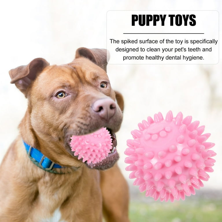 Set of 2 Inflatable Dog Chew Toys for Kids and Babies, Fun Pet Play Toys -  Walmart.com