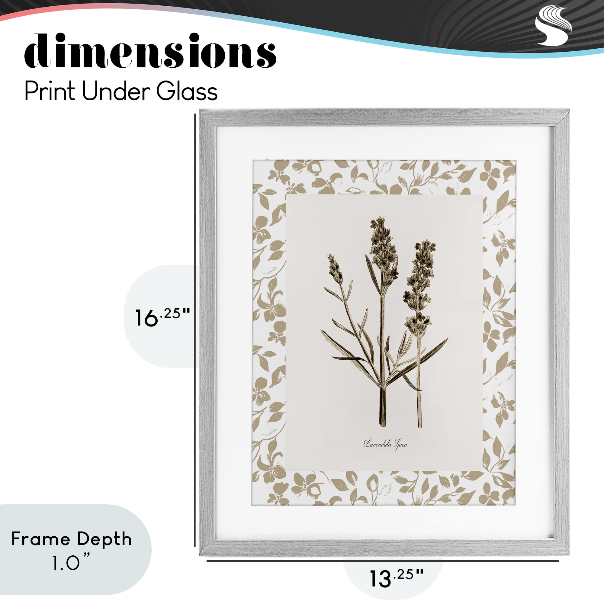 Stupell Industries Neutral Imperial Herb Study Gray Framed Print Under Glass, design by Kelly Donovan