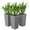 Gray, variant on Set of 3 Plastic Flower Pots with Tall Rectangular Shape, Indoor Outdoor Planters for Plants Flowers Herbs, Modern Minimalist Planter Set