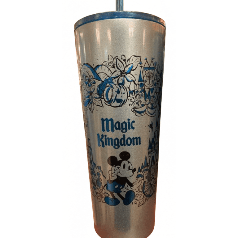 Disney Starbucks Magic Kingdom Icons Metal Tumbler Cup with Straw