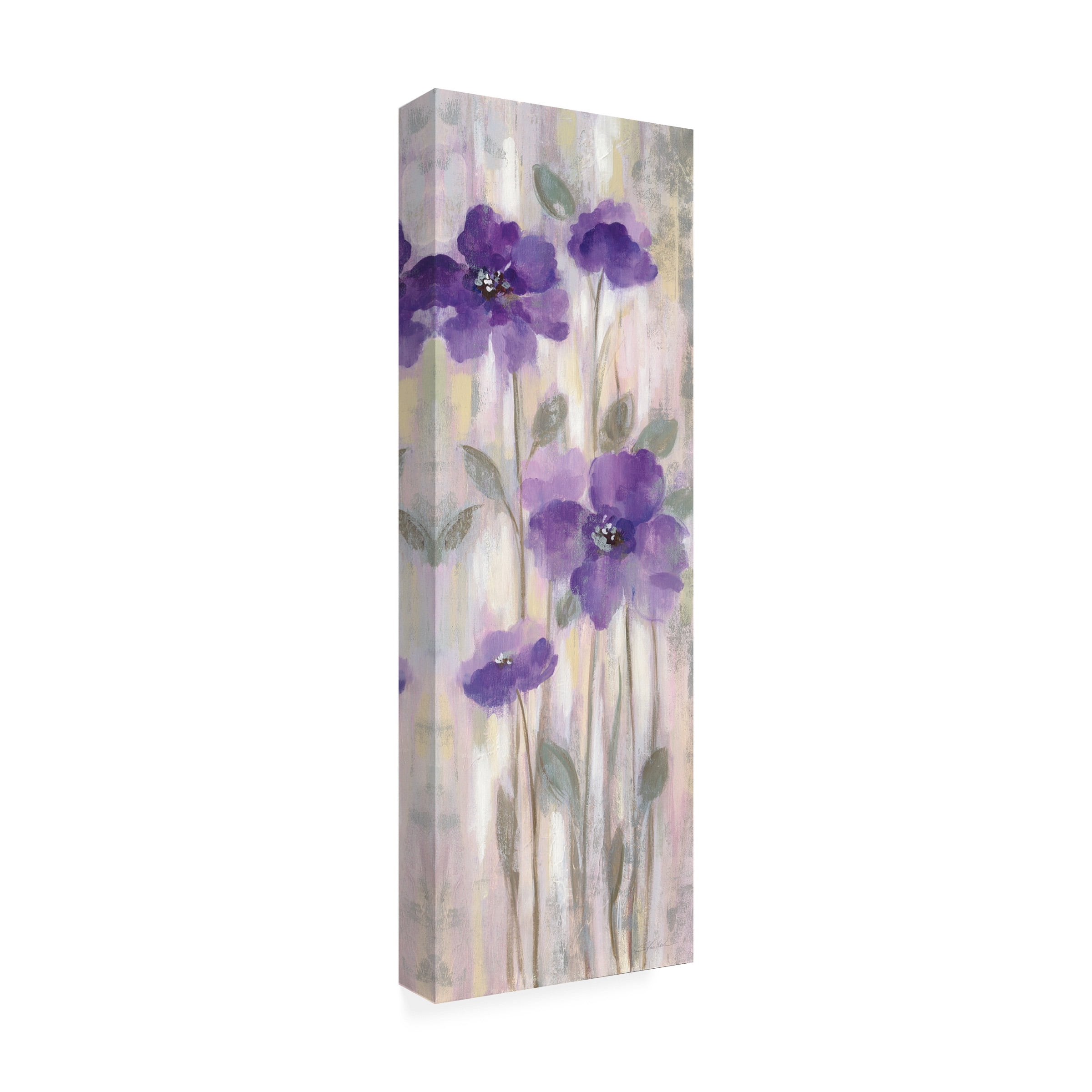Trademark Fine Art 'Spring Florals I' Canvas Art by Silvia Vassileva