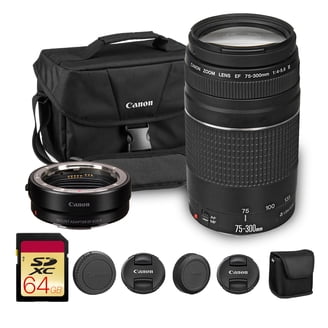 Canon EF-S 55-250mm f/4-5.6 IS STM Lens (8546B002) + Shoulder Bag