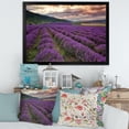 thumbnail image 3 of Designart 'Lavender Field At Sunrise I' Farmhouse Framed Art Print, 3 of 4