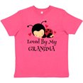 thumbnail image 3 of Inktastic Loved By Grandma ladybug Youth T-Shirt, 3 of 5