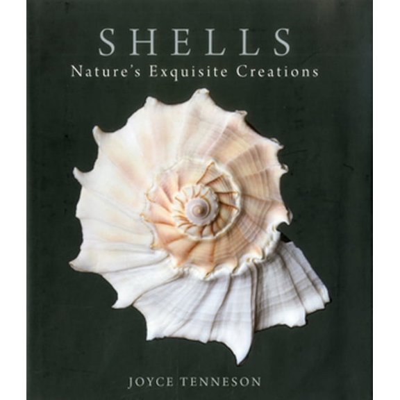 Shells: Nature's Exquisite Creations, (Hardcover)