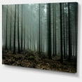 thumbnail image 2 of Gloomy Sunrays dans la Forêt Sombre - Impression sur Toile Paysage, 2 of 4