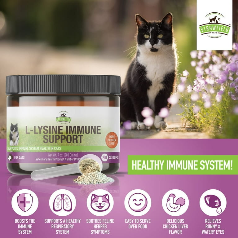 L Lysine for Cats Supplement Powder Granules for Cat Cold Sneezing Congestion Running Nose Respiratory Allergy Relief Cats Kittens of All