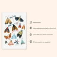thumbnail image 2 of Moths & Butterflies Wall Art, Bugs & Animal Kids Room Decor, Woodland Themed Art, Gift for Classroom, School, Kids & Nursery Room, Woodland - (Unframed, 9 x 11 inches), 2 of 4