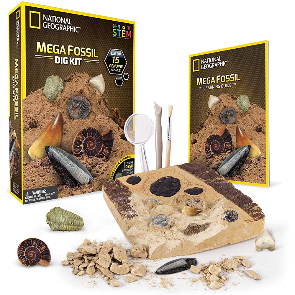 NATIONAL GEOGRAPHIC Mega Fossil Dig Kit ââ¬â Excavate 15 real fossils including Dinosaur Bones