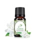 thumbnail image 3 of perfumes for women para caballero Oil Aromatherapy Therapeutic Grade Water Soluble Aroma 10ML, 3 of 6