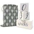 thumbnail image 3 of Tinte blanco natural Pondering Pine Baby de Milestone Blocks, 3 of 7
