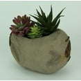 thumbnail image 2 of Artificial Succulent Garden in Rustic Grey Wood Planter, 2 of 3