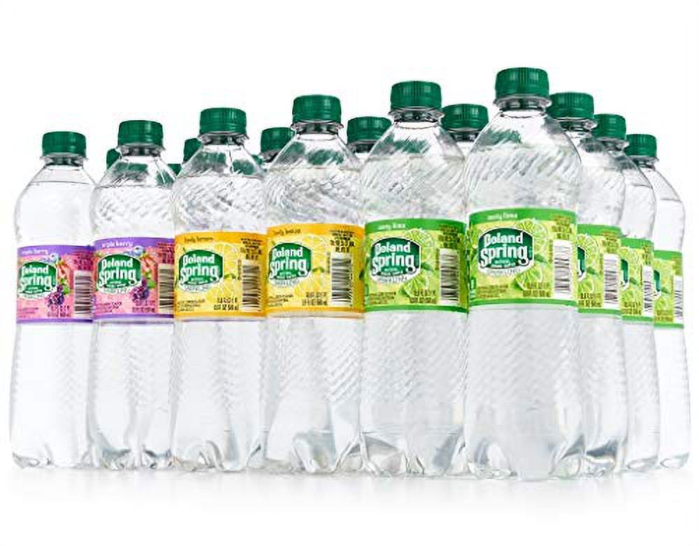 Sparkling Natural Spring Water Variety Pack (24 Half Liter Bottes) - image 4 of 8