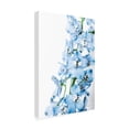 thumbnail image 2 of Elizabeth Urquhart 'Freshly Picked Delphinium III' Canvas Art, 2 of 3