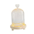 thumbnail image 1 of Cristal transparente Cloche Dome Cloche Dome Ornament Micro Landscape Holder Centerpieces Día de San Valentín Flor Cover Cloche de cúpula transparente 9x11cm Corazón Macarena Cúpula transparente, 1 of 8