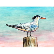 Royal Tern Place Mat Set of 4