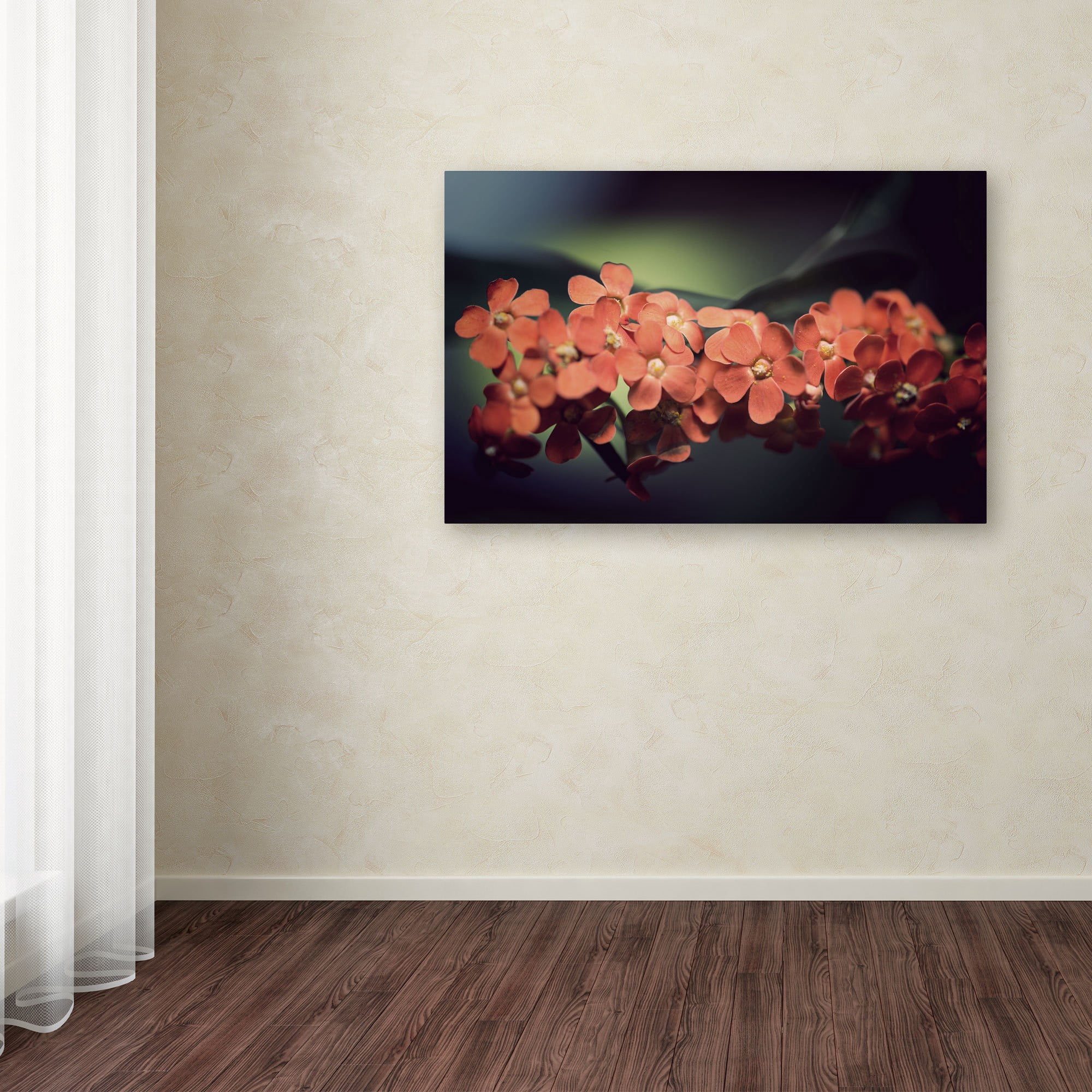 Trademark Fine Art "Flowers Waiting" Canvas Art by Philippe Sainte-Laudy