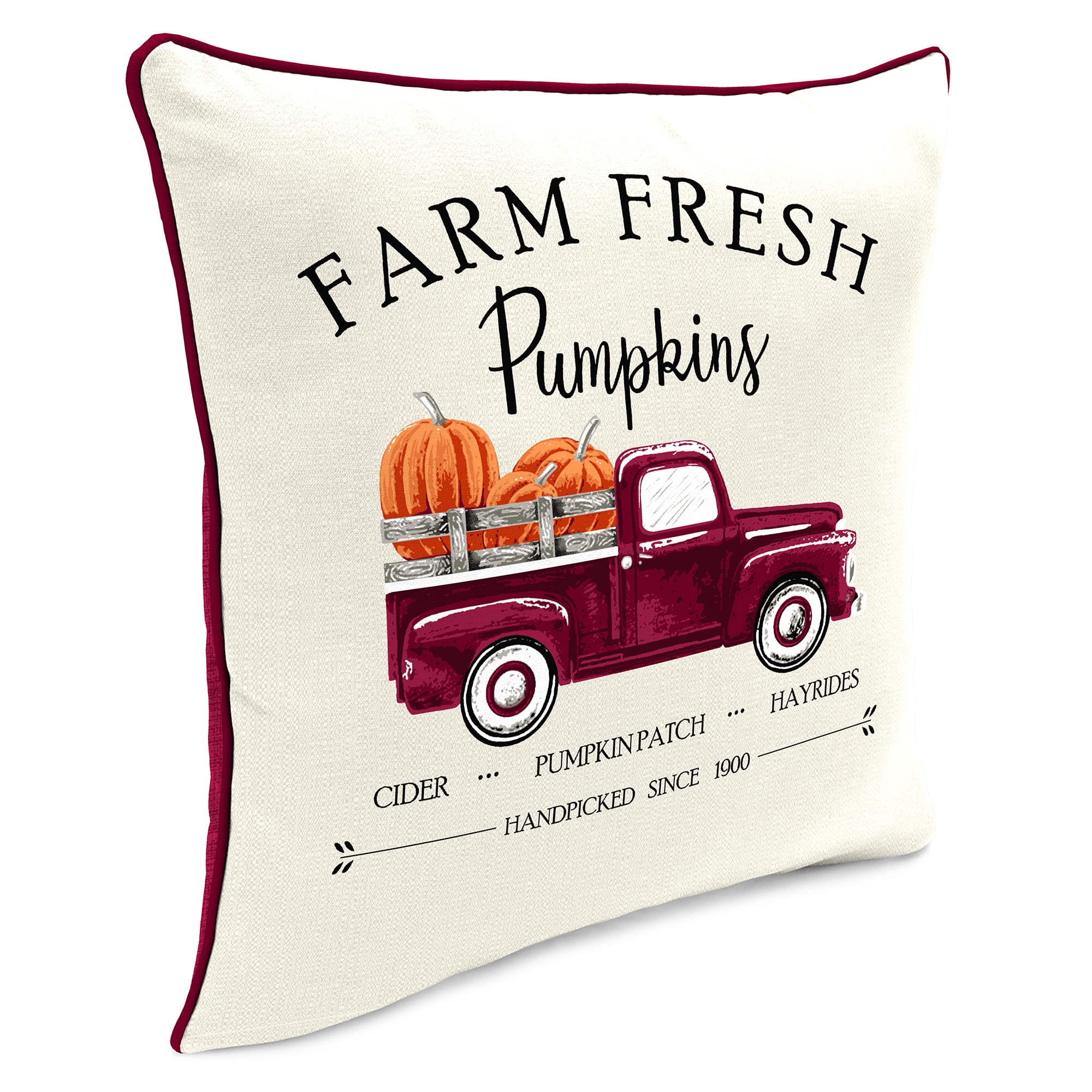 Picked Daily Farm Fresh Pumpkin Pillow Cover 18x18 inch – Cotton