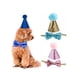 thumbnail image 4 of Methold Sombrero brillante para mascotas, conjunto de lazo, fiesta de cumpleaños, banquete, ceremonia de boda, disfraz de Animal, Kit de Memoriales de mascotas, 4 of 6