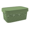 thumbnail image 1 of Caja con Tapa 4.5 Litros Plastic Trends Modelo Paris Color Verde, 1 of 4