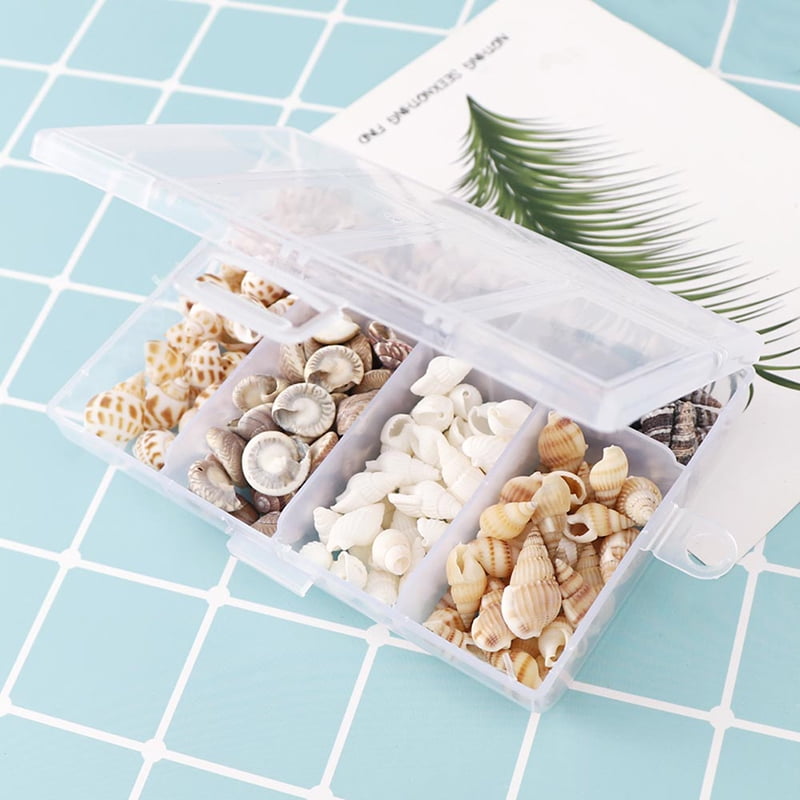 About 100Pcs/Box Natural Conch Shells Aquarium Landscape Seashells Crafts De OE 