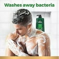 thumbnail image 3 of Irish Spring Body Wash Original 30 Fluid Ounce (Pack of 2), 3 of 7