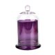 thumbnail image 4 of Candelero de Cúpula de Cristal Cloche, Cúpula de Cristal con Base, Cubierta de Campana de Cristal, Tarro de Vela, Taza para Dulces, Plantas, Exhibició Violeta, 4 of 8